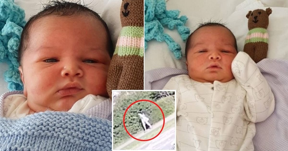 Heartbreaking Photos Of Newborn Baby Who Was Dumped In A Park Are ...