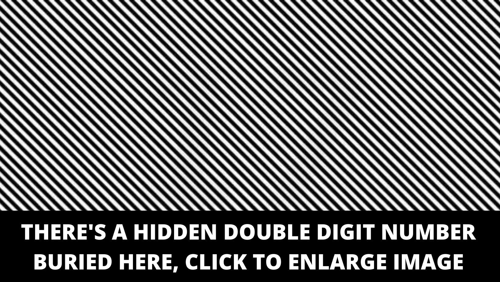 There Is A Double Digit Number Buried In This Optical Illusion Can You Spot It Small Joys 