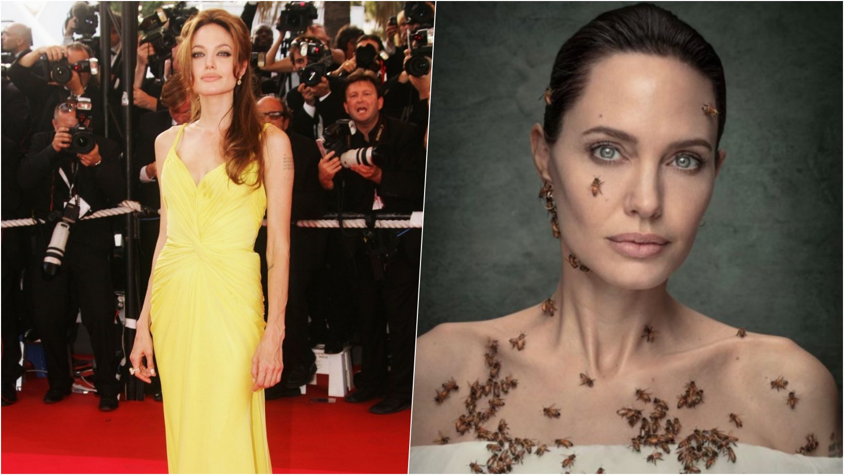 6 facebook cover 36.png?resize=412,232 - Angelina Jolie Admits She Did Not Shower For Three Days For World Bee Day Photoshoot