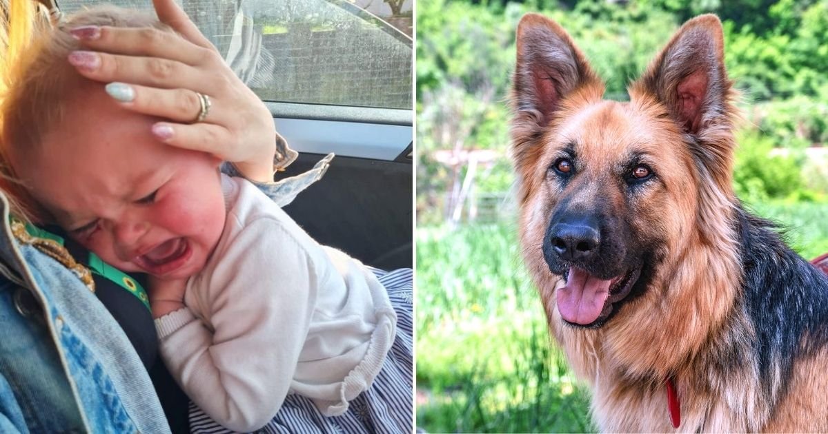 baby6.jpg?resize=1200,630 - 18-Month-Old Baby Girl Savaged By Dog In Horrific Attack That Missed Her Eye By Only Millimeters