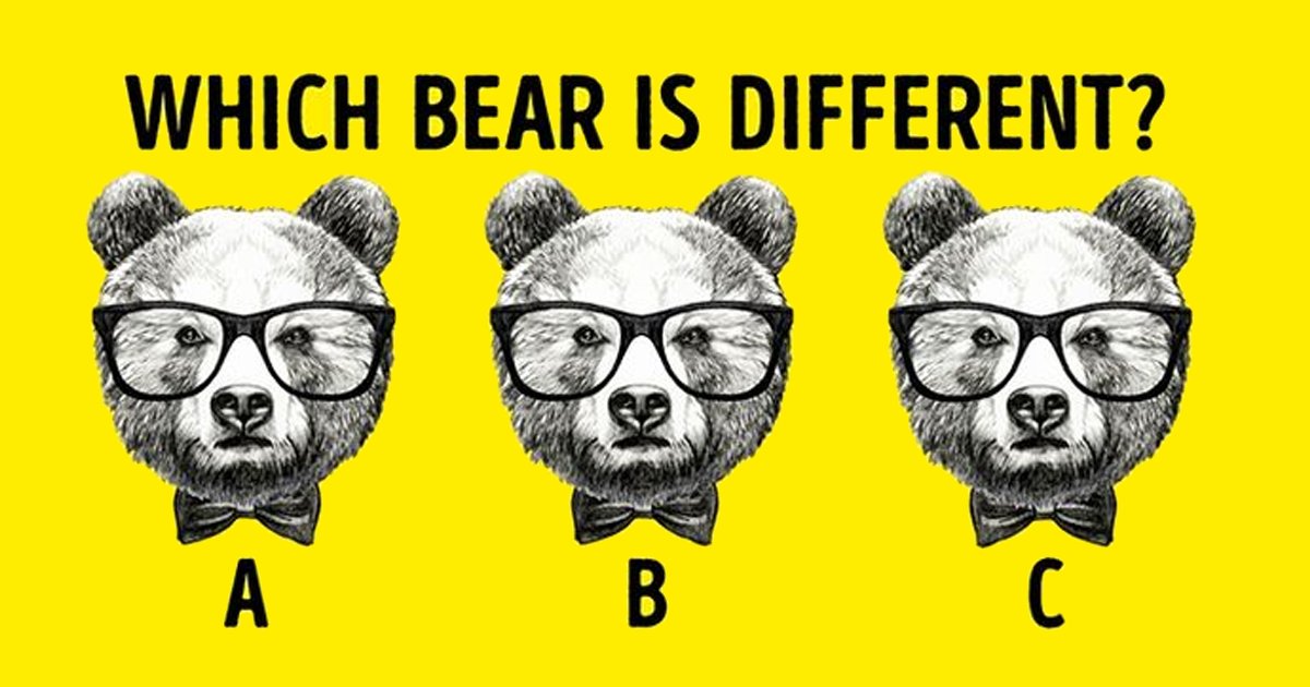 bear.png?resize=1200,630 - Can You Spot The Difference Between The Bears?