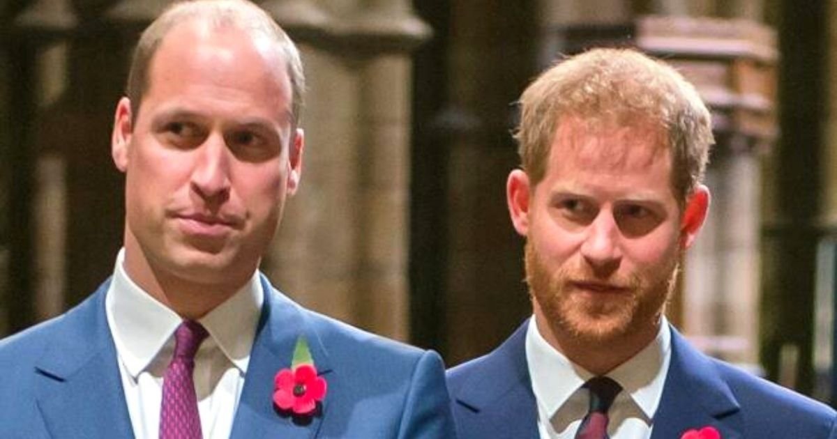 brothers6.jpg?resize=1200,630 - Prince Harry And Prince William 'Have Insisted' On Giving Separate Speeches When They Unveil Their Late Mother's Memorial Statue