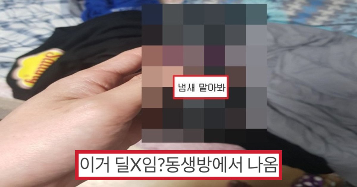 c90328e7 67fd 43bd a998 5fa4af44b069.jpeg?resize=412,275 - “이거 딜X 아님?!”…여동생 방에서 우연히 찾아낸 물건의 ‘충격적인’ 정체.Jpg