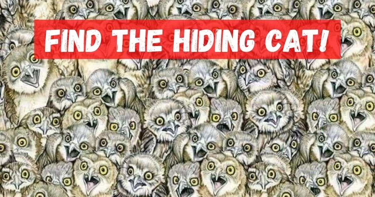 can you spot the cat.jpg?resize=1200,630 - Can YOU Find The Sneaky Cat That Is Hiding Among The Owls In This Picture