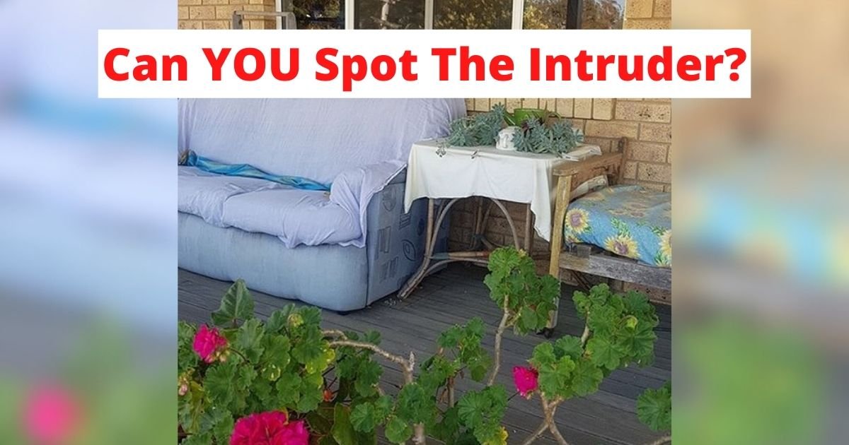 can you spot the intruder.jpg?resize=1200,630 - Family Immediately Calls For Help After Taking A Closer Look At The Photo Of Their Home