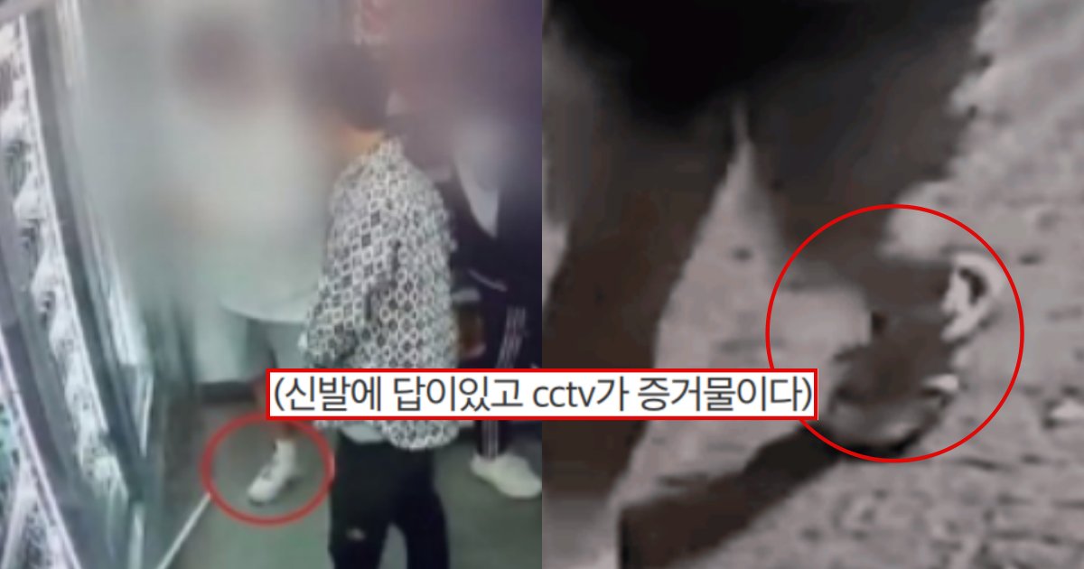 collage 32.png?resize=412,275 - 한강 실종 의대생 친구가 신발을 갖다 버린 ‘진짜’ 이유가 공개되어 난리 난 현재 상황