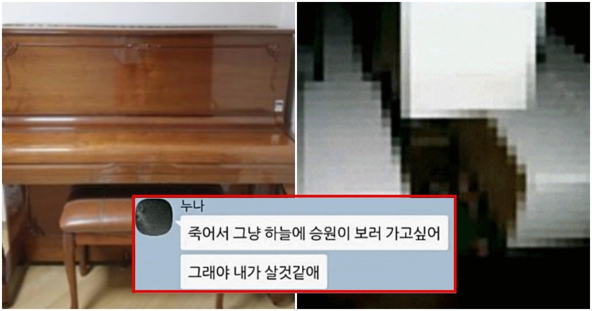 collage 4.jpg?resize=412,275 - “죽어가면서까지…” 죽은 아이가 부모님 몰래 피아노에 숨겨둔 메시지 (+사진)