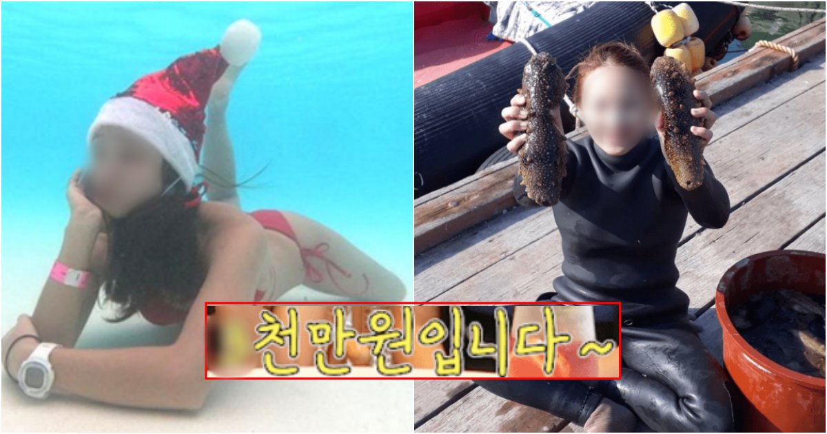 collage 407.png?resize=412,275 - 거제도 가서 해녀가 된 20대 여성이 1년 동안 벌어들이는 충격적인 수익