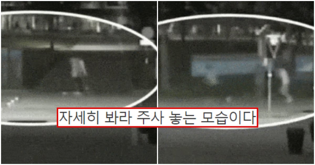 collage 61.png?resize=412,275 - “정민군 목에다가 마취주사 놨다”며 지금 완전 난리 난 한강 의대생 새로운 의심 가능성 (+CCTV영상)