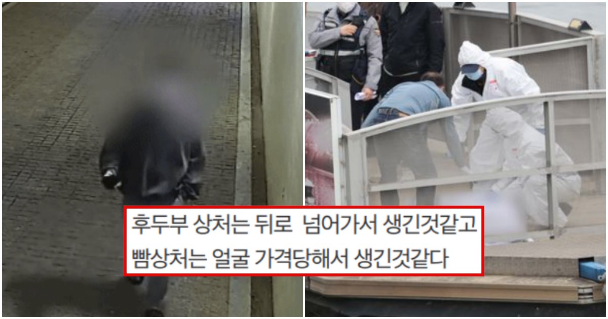 collage 93.png?resize=412,275 - 한강 실종 의대생 친구가 술먹고 있을 당시 상황을 본 새로운 목격담