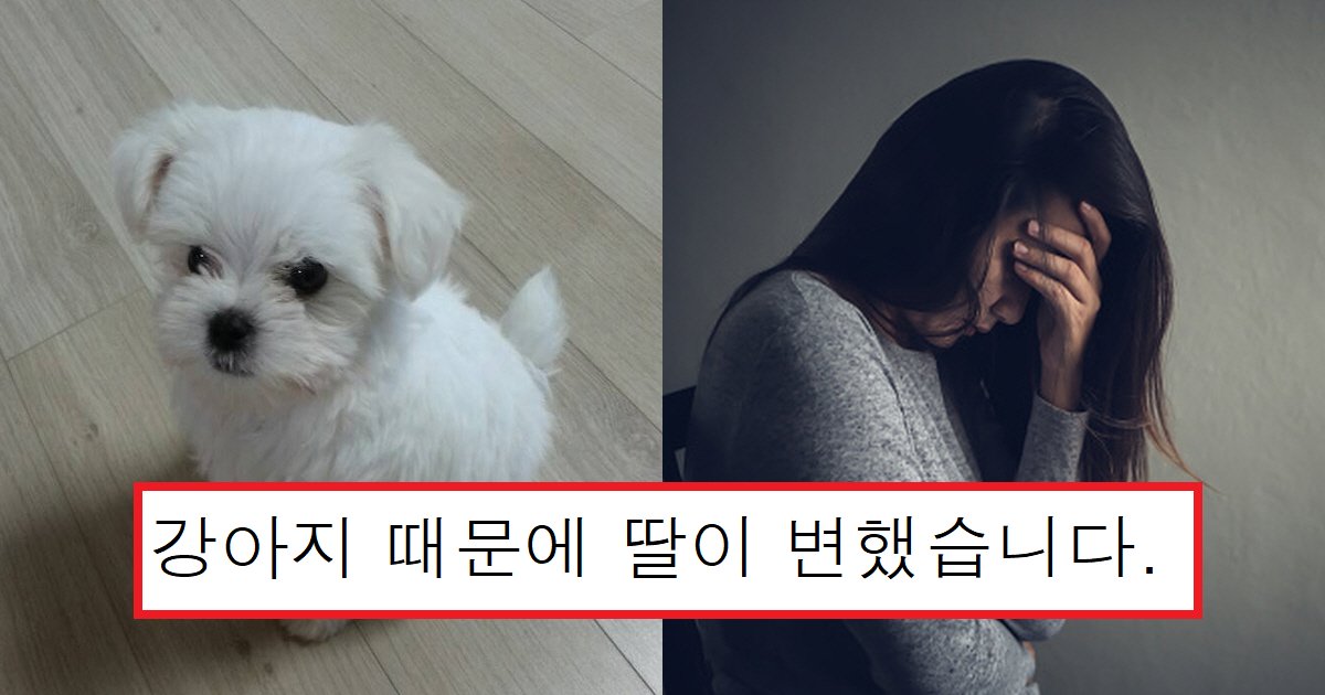 eab095ec9584eca780ec8db8.png?resize=412,275 - "저희 딸 좀 말려주세요"...강아지 때문에 자살 시도까지 한 여성