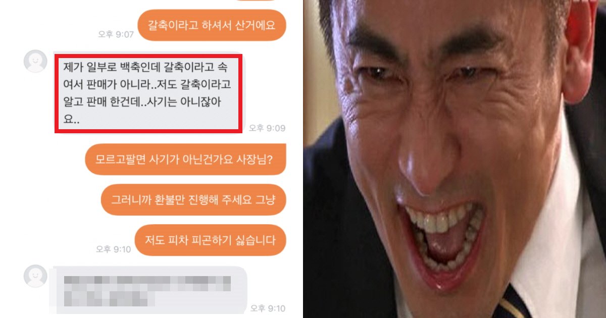 eb8bb9eab7bcec8db8.png?resize=412,275 - "진짜 개 빡친다"...당근마켓에서 '역대급' 사기 당한 네티즌