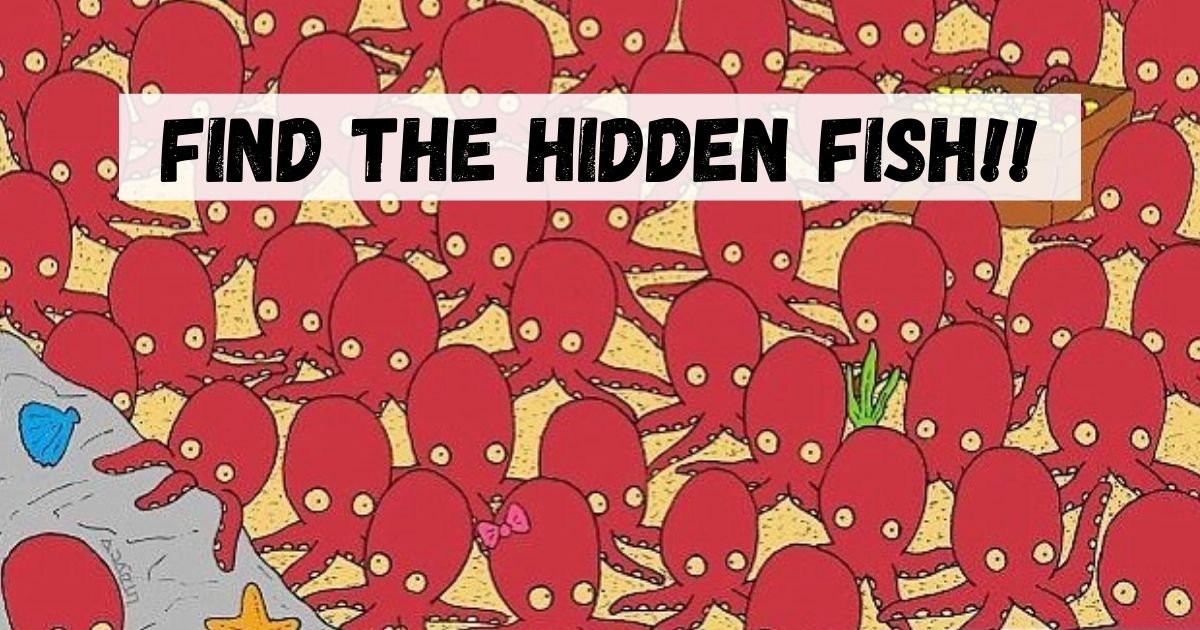 gergely dudas dudolf 3.jpg?resize=1200,630 - Can YOU Spot The Hidden Fish In This Picture Full Of Octopuses