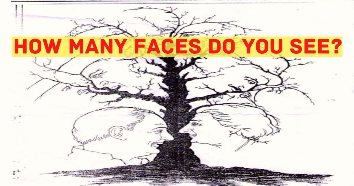 how many faces can you see.jpg?resize=412,275 - How Many FACES Can You See In This Picture Of A Tree