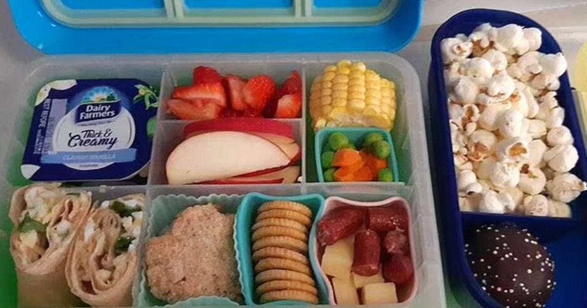 lunchbox.jpg?resize=412,232 - Mother's Lunchbox For Her 3-Year-Old Son Sparks Debate After She Shared A Photo Of It On Social Media