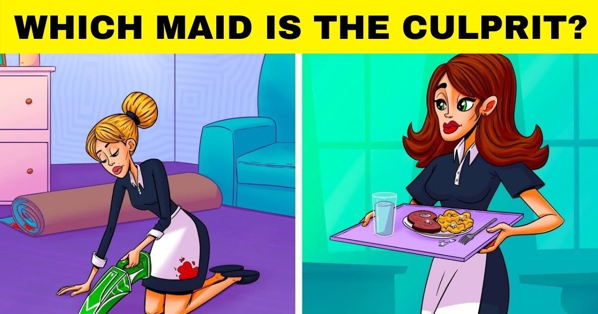 maid5.jpg?resize=1200,630 - How Fast Can You Figure Out Who Is The Culprit?