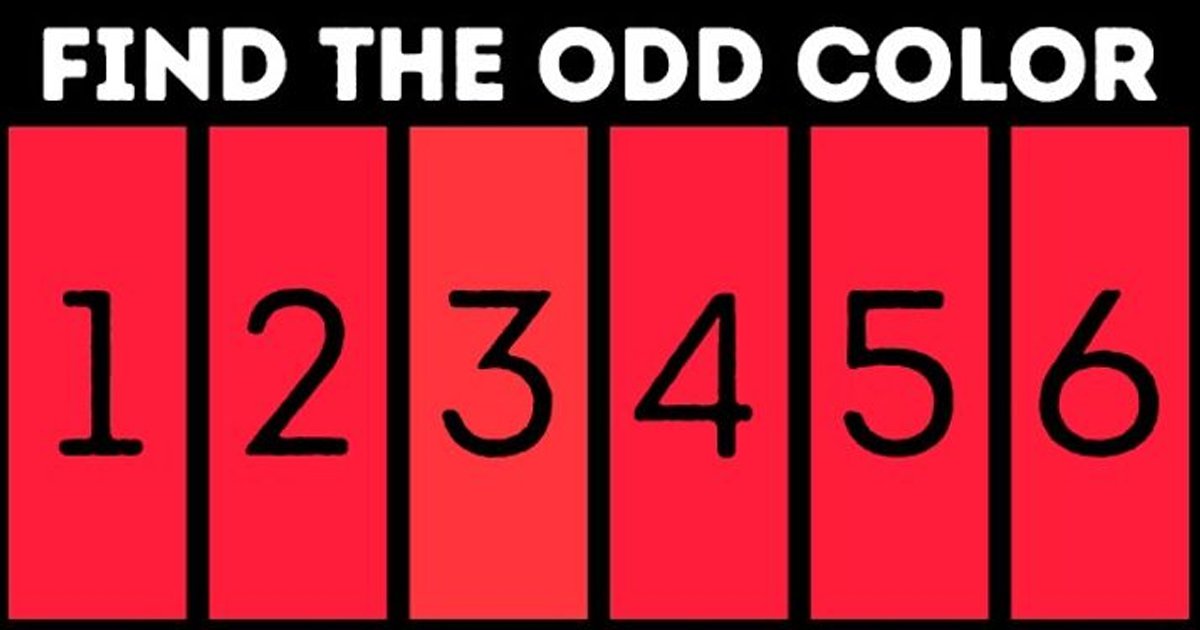 q3.jpg?resize=412,275 - How Fast Can You Guess The Correct Answer To This Puzzle?