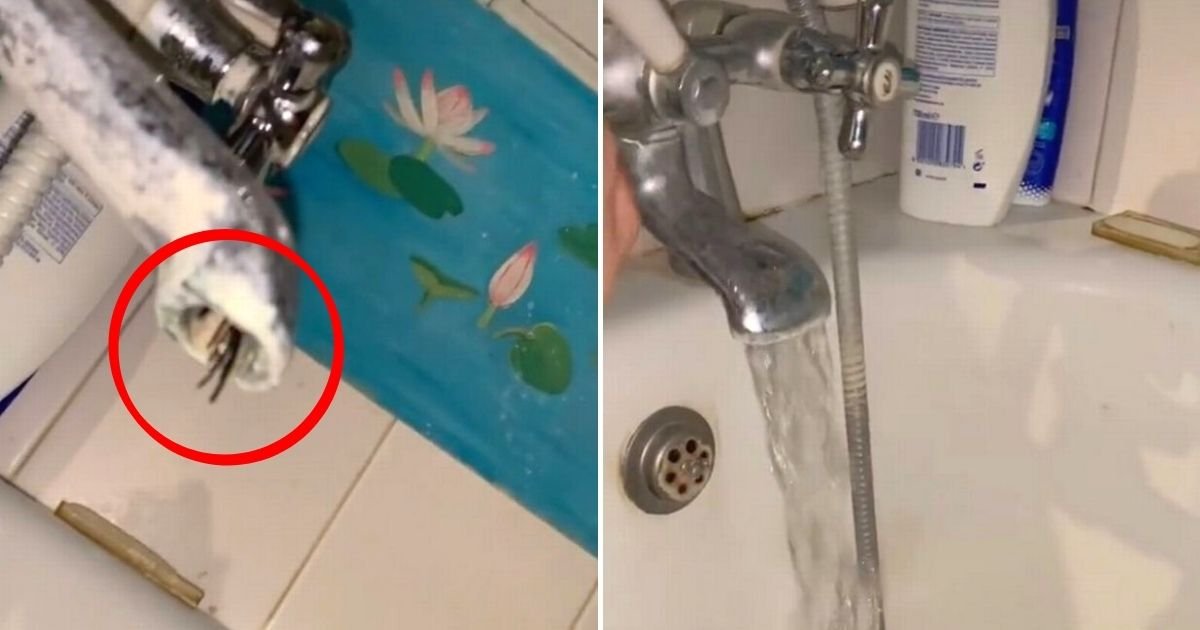 spider4.jpg?resize=1200,630 - Woman Urged To Move Out Of House After She Spotted Creepy Black Wires Hanging From Tap In Her Bathroom