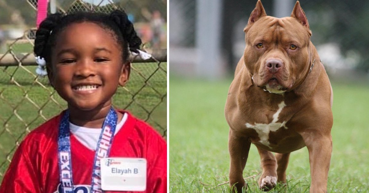 t8 9.jpg?resize=1200,630 - 4-Year-Old Girl Viciously Mauled To Death By Family Dog In Her Own Backyard In Texas