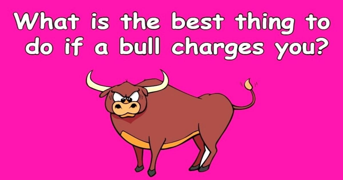 untitled design 3 5.jpg?resize=1200,630 - Do You Have What It Takes To Solve This Viral Riddle About A 'Charging' Bull