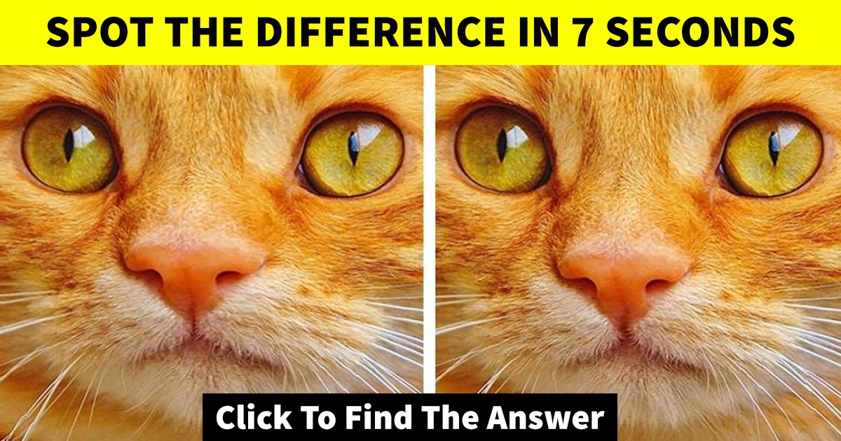 w1 19.jpg?resize=412,275 - How Fast Can You Spot The Difference Between These Two Images?