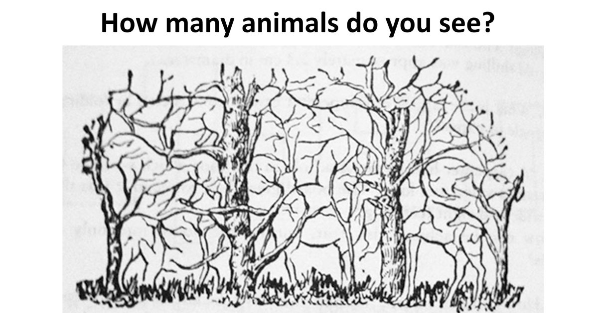 w2 11.jpg?fit=1024%2C538&ssl=1&strip=all - How Many Animals Can You Find In This 'Hidden' Picture Puzzle?