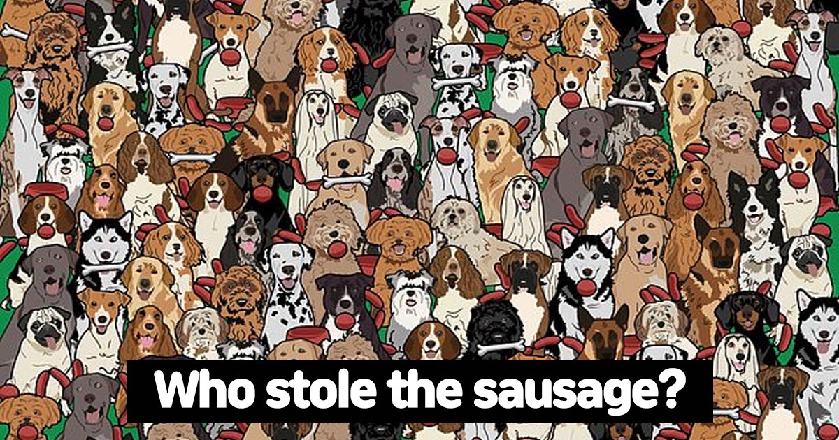 w2 4.jpg?resize=1200,630 - Can YOU Spot The Dog Who Stole The Sausage In This Tricky Hide & Seek Puzzle?