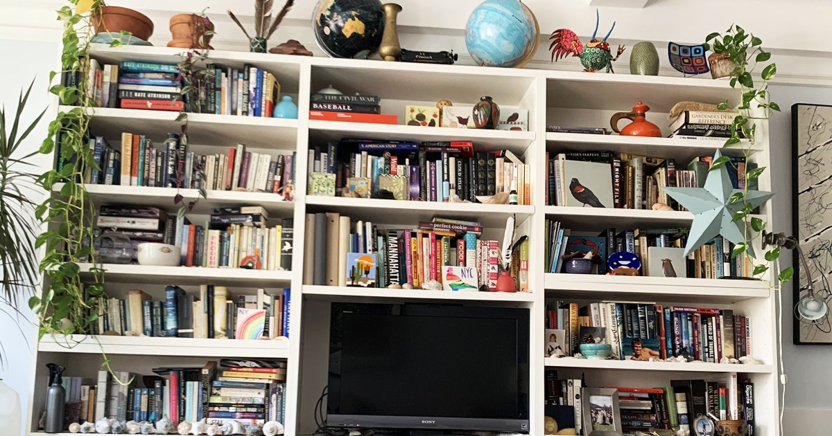 w3 14.jpg?resize=1200,630 - How Fast Can You Spot The Cat On The Bookshelves?