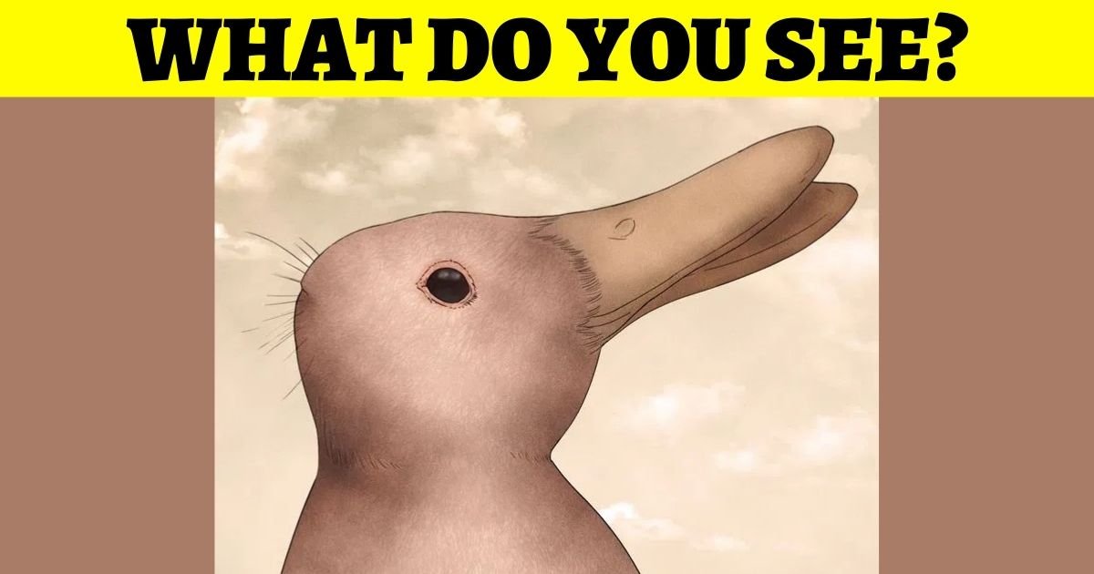 add a heading.jpg?resize=412,232 - Do You See A Rabbit Or A Duck? People Can’t Agree On What Animal Is In The Picture!
