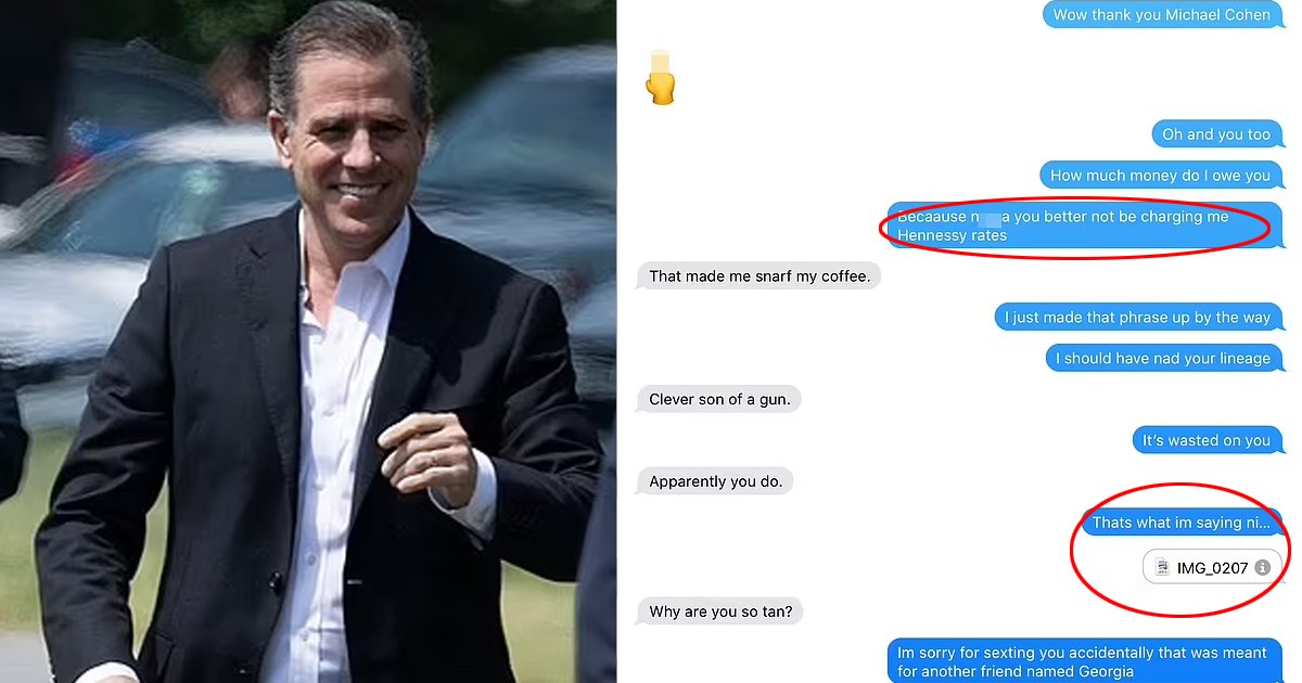 biden 5.png?resize=412,232 - Hunter Biden Addressed His WHITE Lawyer As The N-Word And Used Phrases Such As "True Dat N***a"