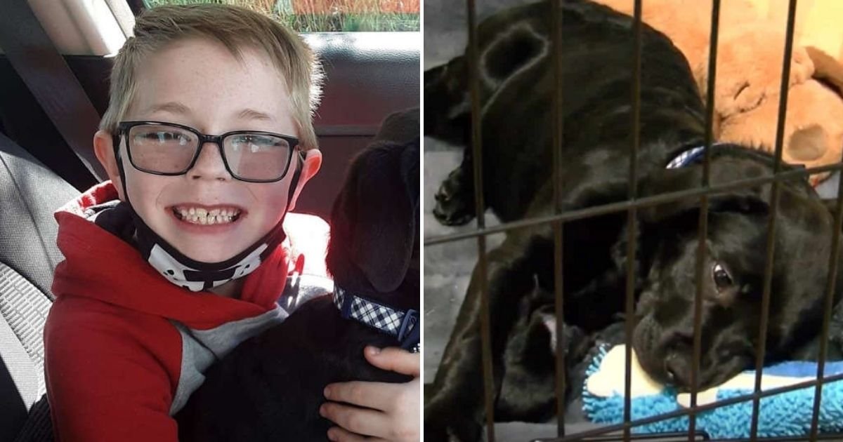 bryson5.jpg?resize=1200,630 - 8-Year-Old Boy Receives A Special Gift After He Sold His Belongings To Save His Puppy