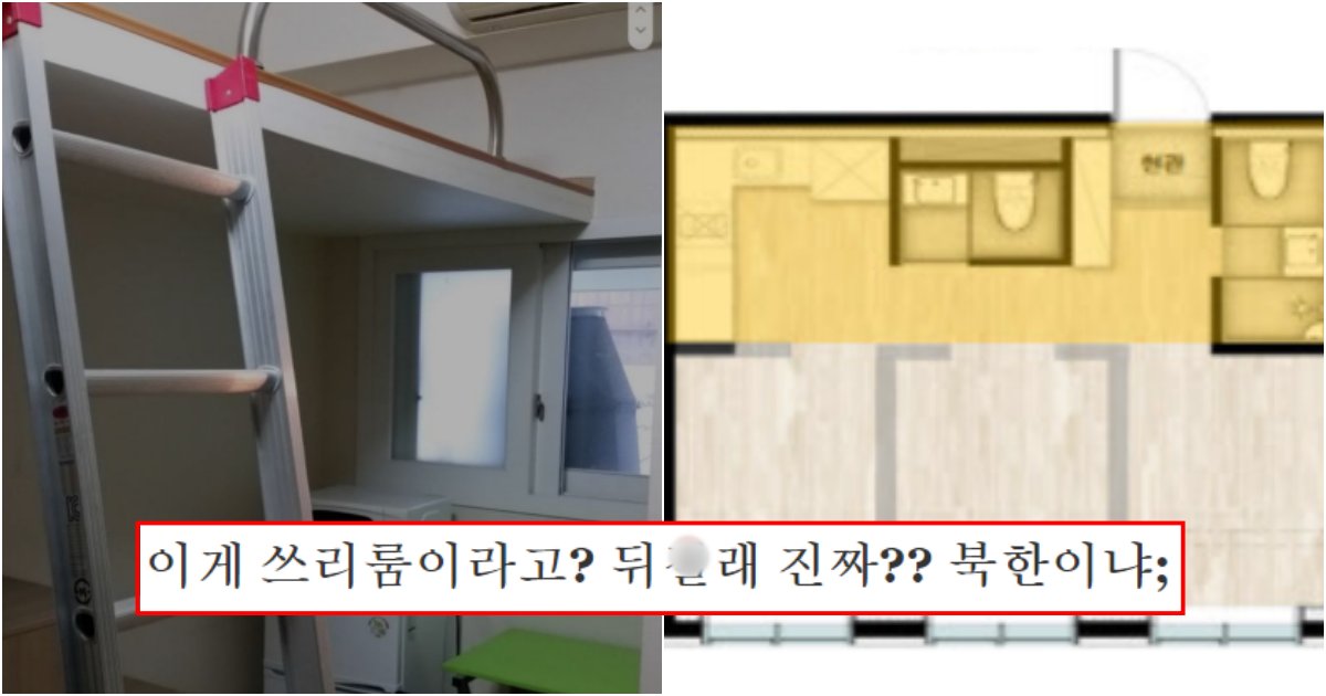 collage 2.png?resize=412,275 - 현재 새로 허가나서 '공산주의'랑 다를게 뭐냐며 난리난 '쓰리룸' 월세집 수준