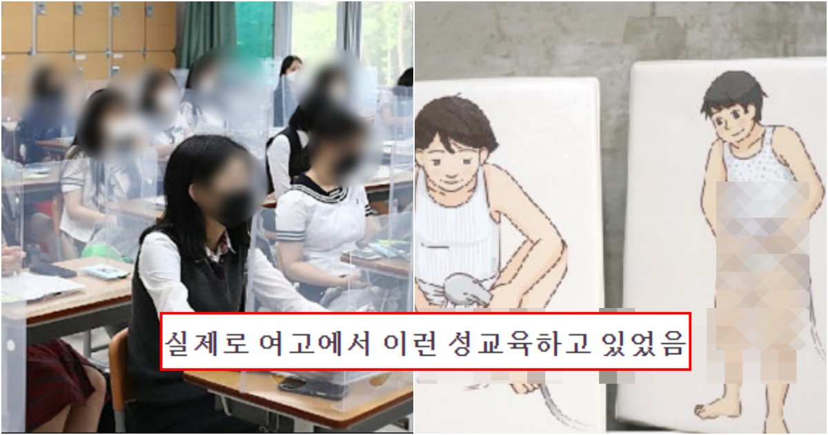 collage 20.png?resize=1200,630 - "이걸 어떻게 여고에서.." 두눈을 의심하게 만드는 실제 여고생들에게 해버린 성교육 수준