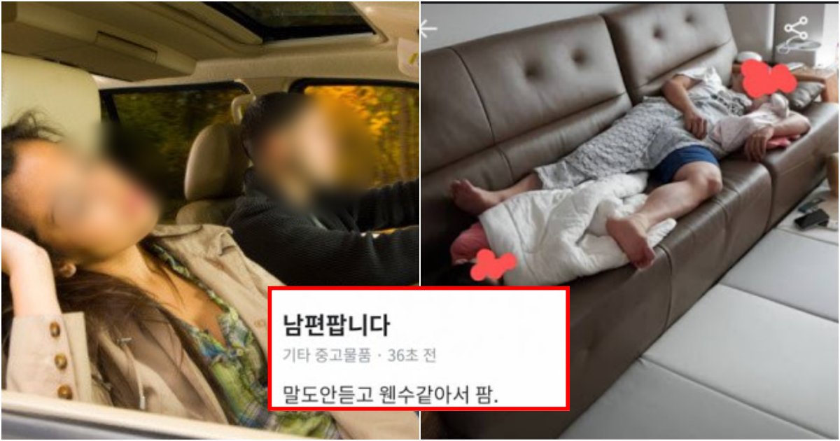 collage 271.png?resize=412,275 - "남편이 운전 5시간 한 주제에 청소도 안 돕는데 이혼해야하나요? 다 읽어보고 판단좀;"