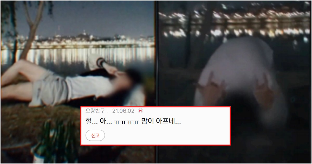 collage 44.png?resize=412,275 - 오히려 저번주 그알 한강사건 이 둘을 보면서 슬펐음 (+영상)