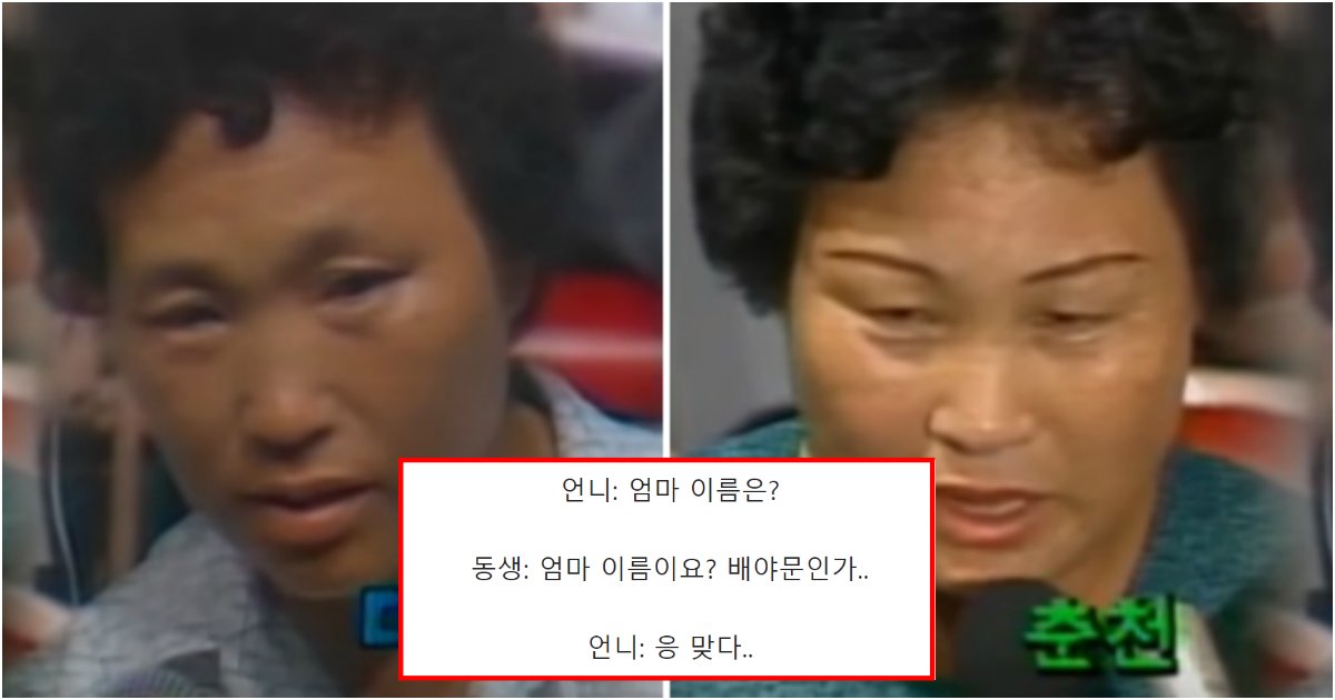 collage 443.png?resize=412,275 - 우리가 북한의 남침으로 시작된 6.25 한국전쟁을 절대 잊어서는 안되는 이유