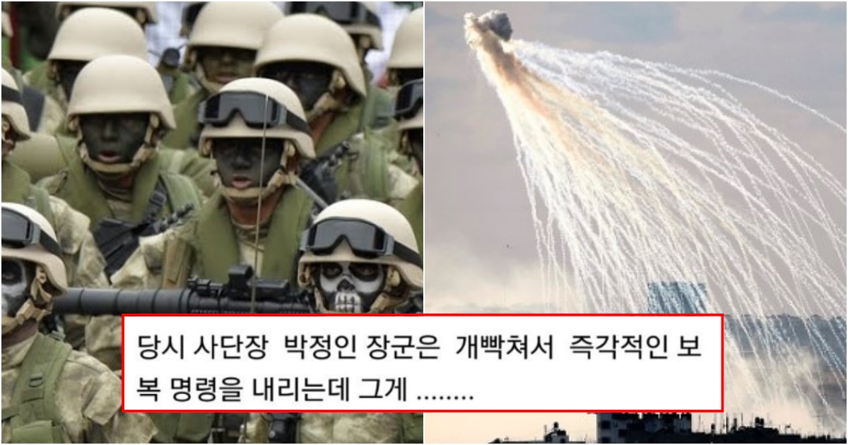 collage 6.png?resize=412,232 - 지금도 북한군이 보면 'PTSD'와서 지린다는 '백골부대'가 기습한 북한군 다 쓸어버린 사건