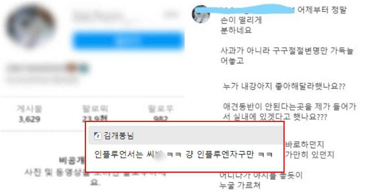 collage 61.png?resize=412,275 - 한 자영업자의 인생을 아예 망쳐버린 2만 팔로워 강아지 인스타 인플루언서의 갑질 논란