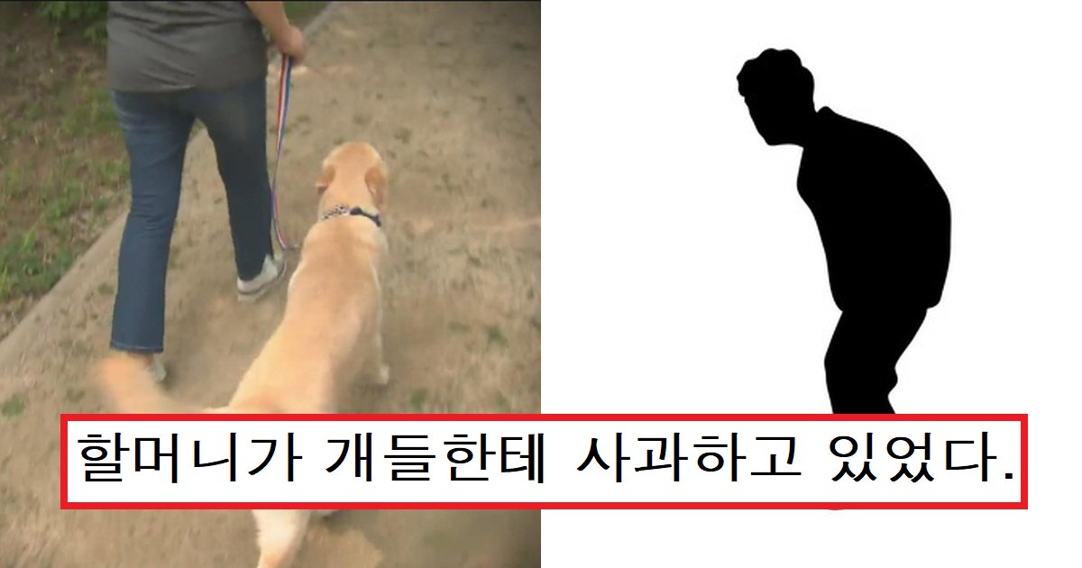 eab09cec8db8.png?resize=412,275 - "개 입마개 요청한 게 죄라고?"...개들 앞 불려가 고개 숙여 사과한 80대 할머니