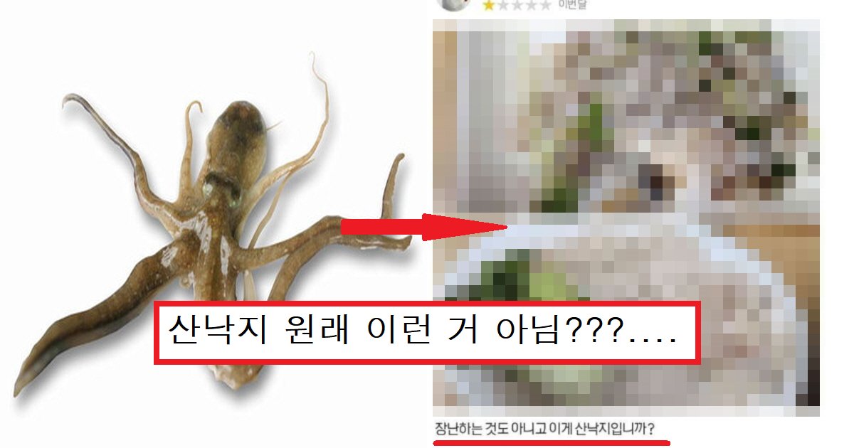 ec82b0eb8299eca780 ec8db8.png?resize=412,275 - "이게 산낙지라고?"...배달시킨 산낙지를 보고 별점 1점 준 소비자