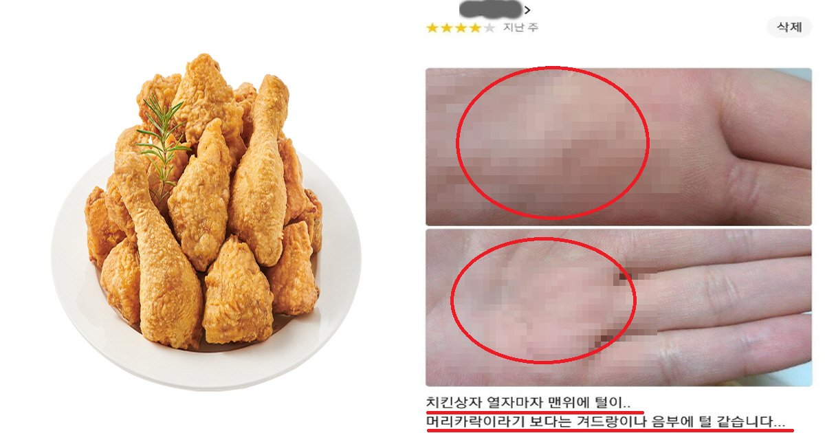 ecb998ed82a8ec8db8.png?resize=412,275 - "치킨을 시켰는데"...배달시킨 치킨에 등장한 정체불명 털(+결말)