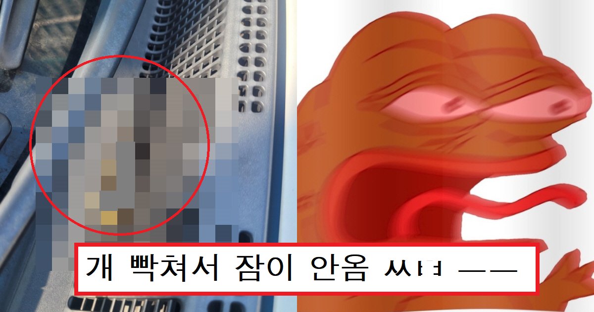 ecbaa3ec8db8.png?resize=412,275 - "운전하기 전에 꼭 확인하세요."...요즘 유행 중인 '충격적인' 자동차 테러