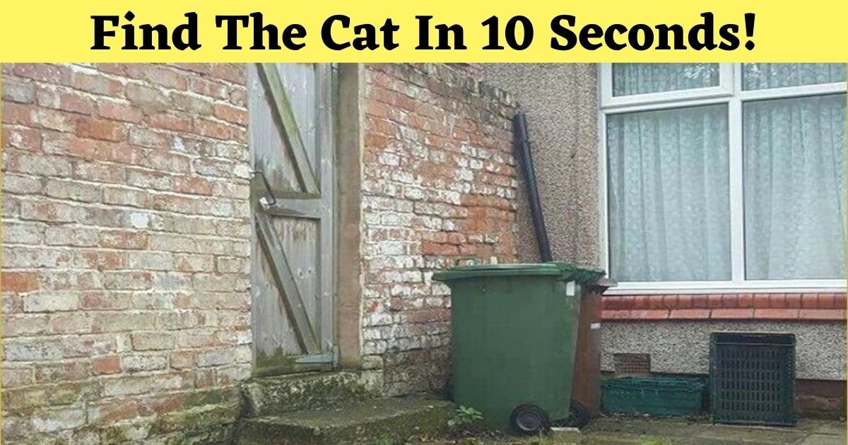 find the cat in 10 seconds.jpg?resize=1200,630 - Only 5% Of People Could Spot The Hidden Cat In This Picture! Do You See It?
