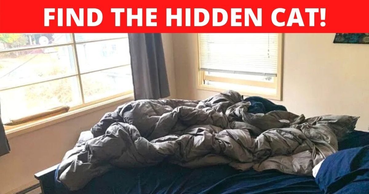 find the hidden cat.jpg?resize=1200,630 - How Fast Can You Spot The Hidden CAT? Only 1 In 10 Viewers Can See The Animal!