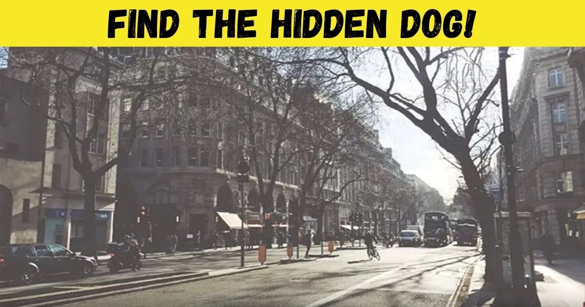 find the hidden dog.jpg?resize=1200,630 - Can You Spot The Huge Dog Hiding In This Picture? Most People Can't See It!