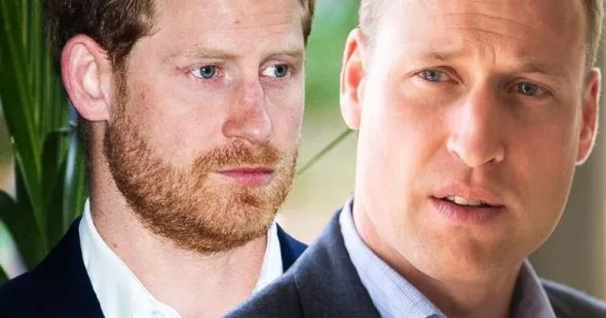 harry5 1.jpg?resize=1200,630 - Prince Harry Is Heartbroken As He 'Can't Repair Relationship' With His Brother William Before Their Reunion, Royal Expert Says