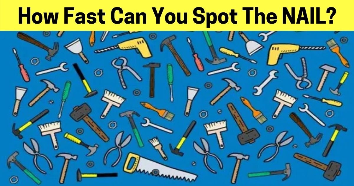 how fast can you spot the nail.jpg?resize=412,232 - There Is A Nail Hiding Among The Tools - Can You Find It?