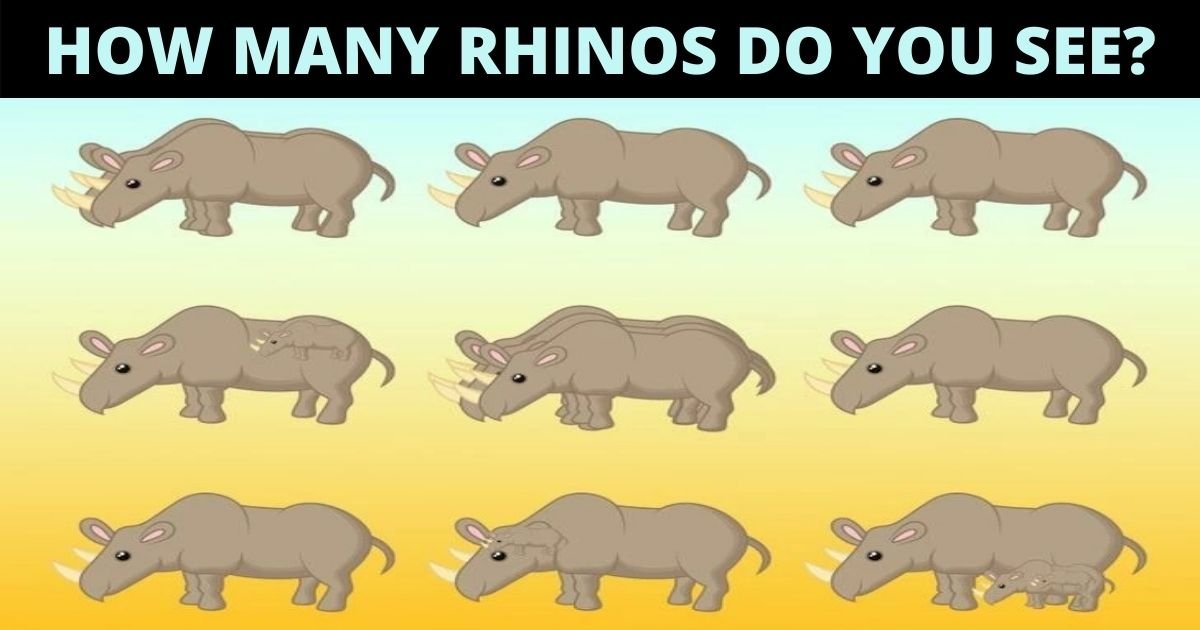 how many rhinos do you see 1.jpg?resize=1200,630 - Can You Find And Count All The Rhinos In The Picture? There Are MANY!