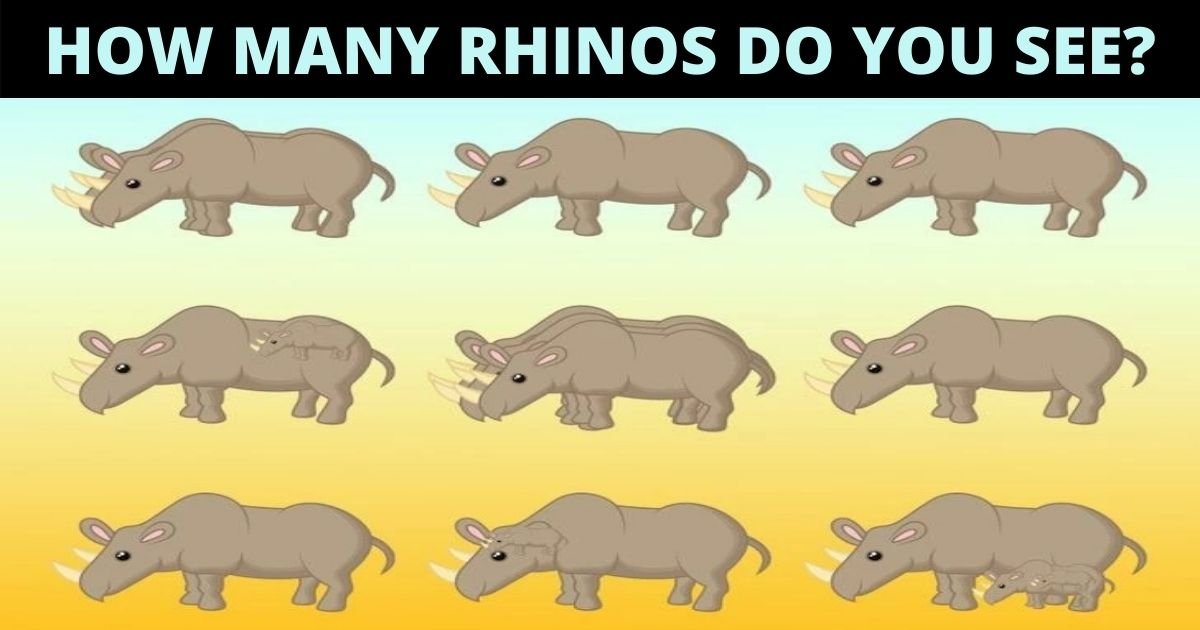 how many rhinos do you see 1.jpg?resize=412,275 - Can You Find And Count All The Rhinos In The Picture? There Are MANY!