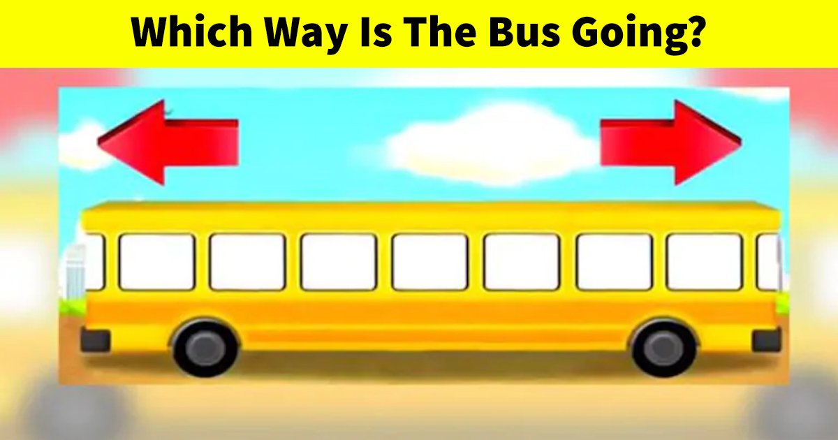 Can You Figure Out Which Way Is The Bus Going? - Small Joys